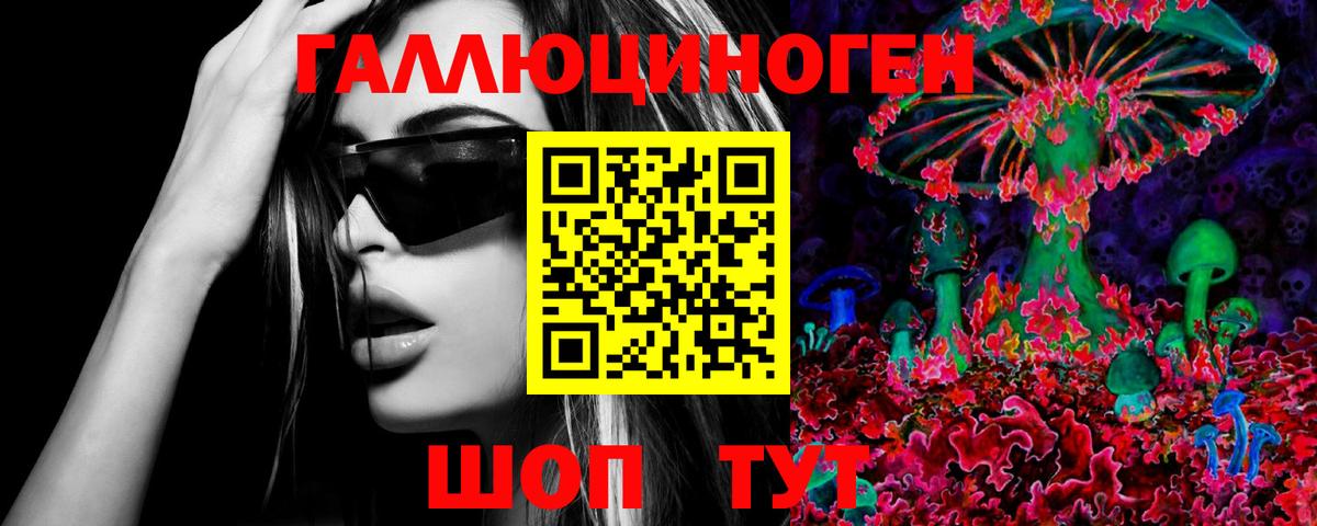 Псилоцибиновые грибы Psilocybe Сертолово