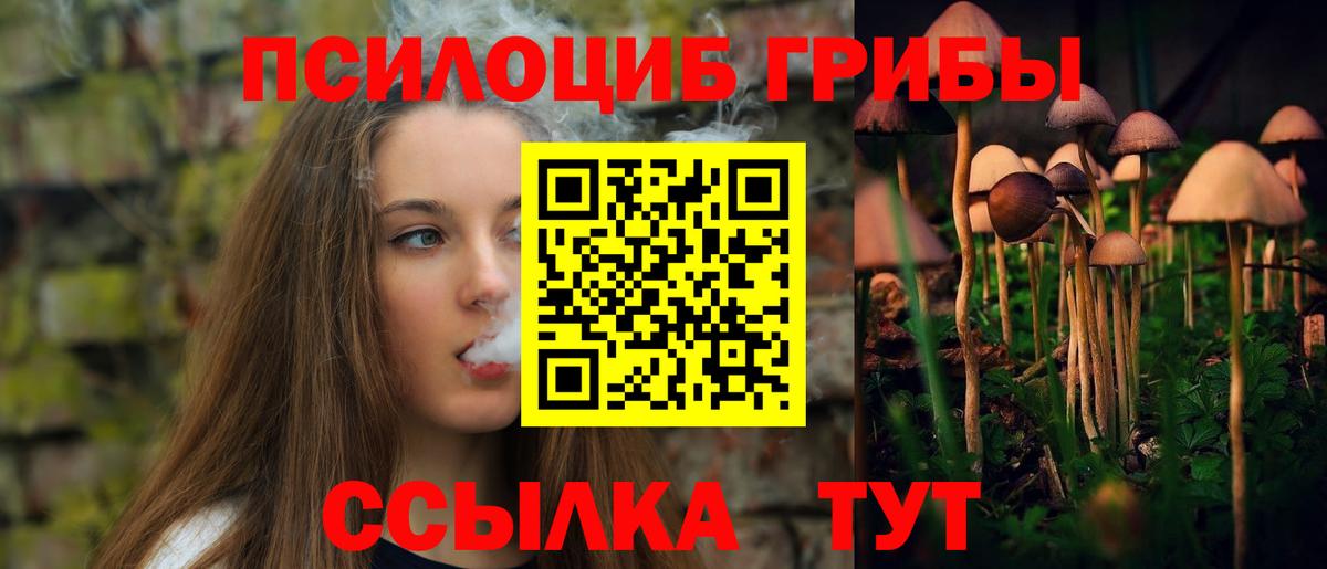 Галлюциногенные грибы GOLDEN TEACHER  Галлюциногенные грибы Psilocybine cubensis  Сертолово  Вход с VPN 
